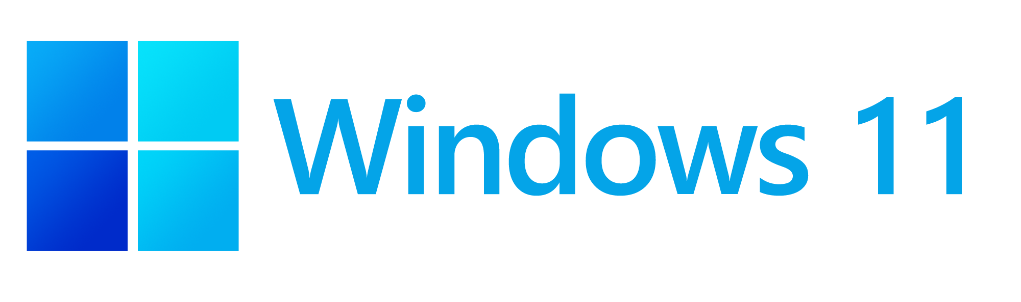 Windows 11